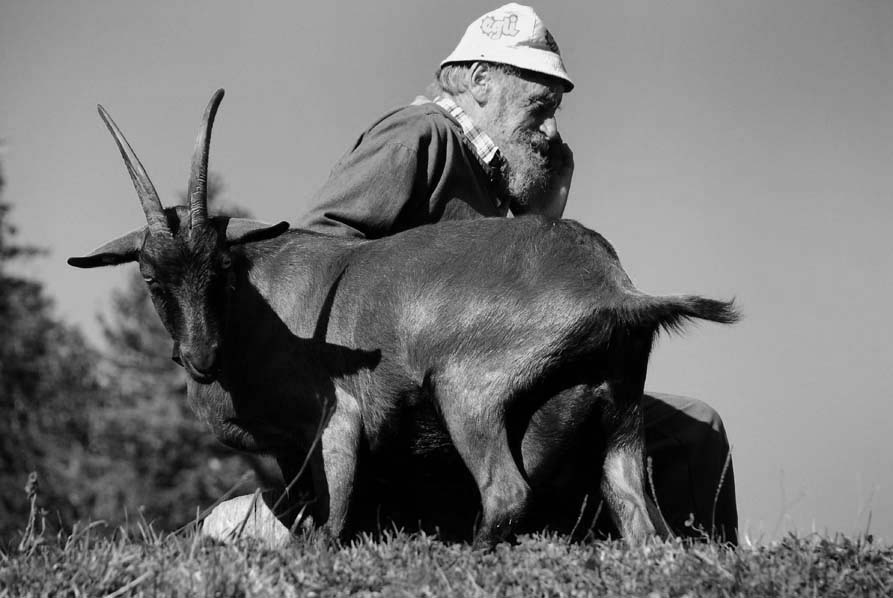 Älpler und Geiß, Uri, Schweiz 2009.